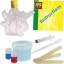 Ses Kleuren Lab Eenhoorn