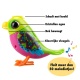 Digibirds lovebird