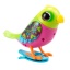 Digibirds lovebird