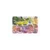 Pokemon Mini Tin 30 Celebration