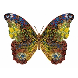 Contourpuzzel vlinder (1000)
