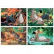Jumbo Puzzel Disney Jungle Book 4 in 1 (12+20+30+36)