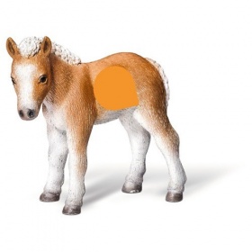 Vergroot Ravensburger TipToi Veulen Falabella Ravensburger TipToi Veulen Falabella