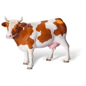 Vergroot Ravensburger TipToi Koe Roodbont Ravensburger TipToi Koe Roodbont