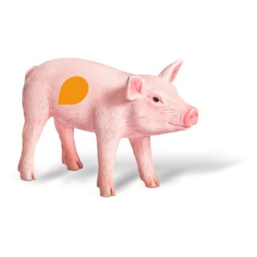 Aanbieding Ravensburger Tiptoi Boek Mijn Leerspel Avontuur Eerste