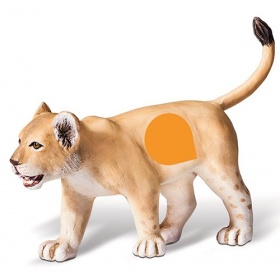 Vergroot Ravensburger TipToi Leeuwenjong Ravensburger TipToi Leeuwenjong