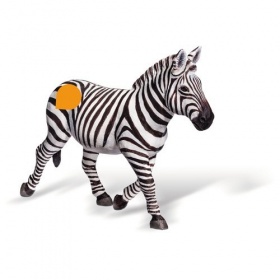 Vergroot Ravensburger TipToi Zebra Vrouwtje Ravensburger TipToi Zebra Vrouwtje
