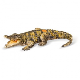 Vergroot Ravensburger TipToi Krokodil Ravensburger TipToi Krokodil
