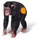 Ravensburger TipToi Chimpansee