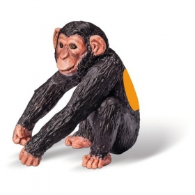 Vergroot Ravensburger TipToi Chimpansee Jong Ravensburger TipToi Chimpansee Jong