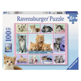 Ravensburger puzzel Schattige Katjes (100 XXL)