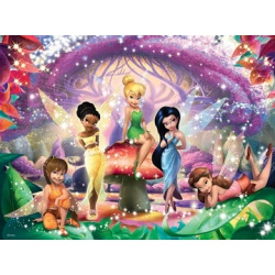 Puzzel wereld van fairies (100)