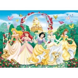 Puzzel schitterende prinsessen (100)