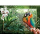 Puzzel papegaaien in de jungle (1000)