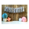 Bekijken Tassel Guirlande zilver