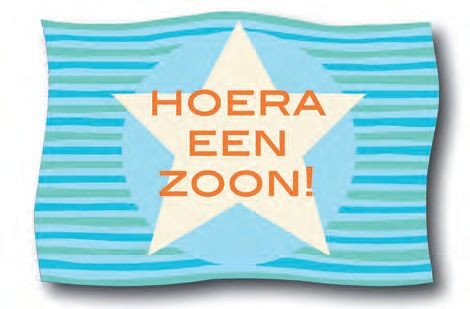 Haza Gevelvlag Boy 90 60Cm haza kopen in de aanbieding