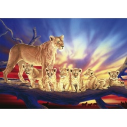 Leeuwenfamilie (1000)