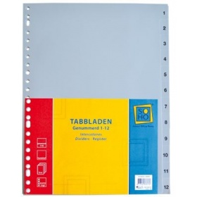 Vergroot Tabbladen 1/12 PP Grijs Tabbladen 1/12 PP Grijs