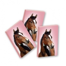 Vergroot Gum Paard Gum Paard