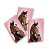 Gum Paard