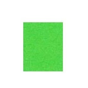 Papier A4 Groen 100vel 120 grams