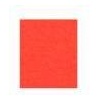 Papier a4 rood 160 gram