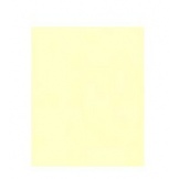 Papier A4 Ivoor 80 Gram