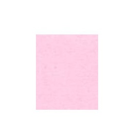 Papier Pastel A4 Roze 80 gram