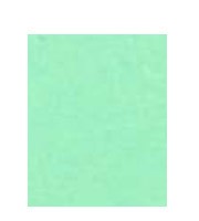 Papier Pastel Groen 80 Gram huismerk kopen in de aanbieding