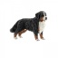 Schleich Speelfiguur Berner Senner Teef