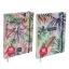 Agenda 18 maanden A5 23/24 Tropic