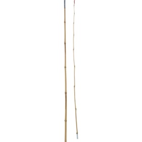 Hengel Bamboe 200 Cm