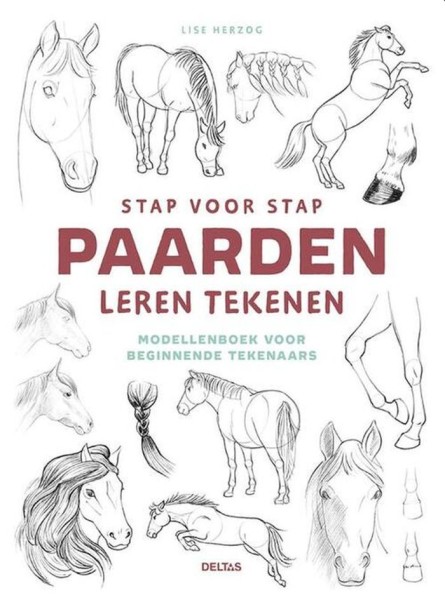 Stap voor stap paarden leren tekenen