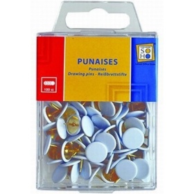 Vergroot Punaises Wit 100 Stuks Punaises Wit 100 Stuks