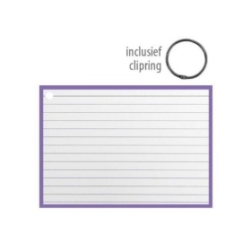 Flashcards 14.8x10.5cm Paars