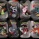 Pokemon Sv10.5 Black Bolt & White Flare Mini Tin